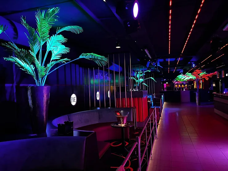 Eve Zaandam - Neon zijden planten