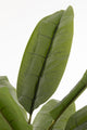 Fiddle Leaf Fig Plastic Green