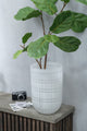 Fiddle Leaf Fig Plastic Green