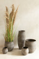 Pampas Grass 5 Heads In Pot Pvc Green/Beige Small