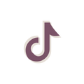 TIKTOK FOLLOW icoon