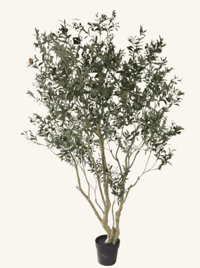 Mega Olijfboom - 260cm - kunstplant - zijdenplant