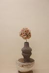 Hortensia steel bruin licht 72 cm