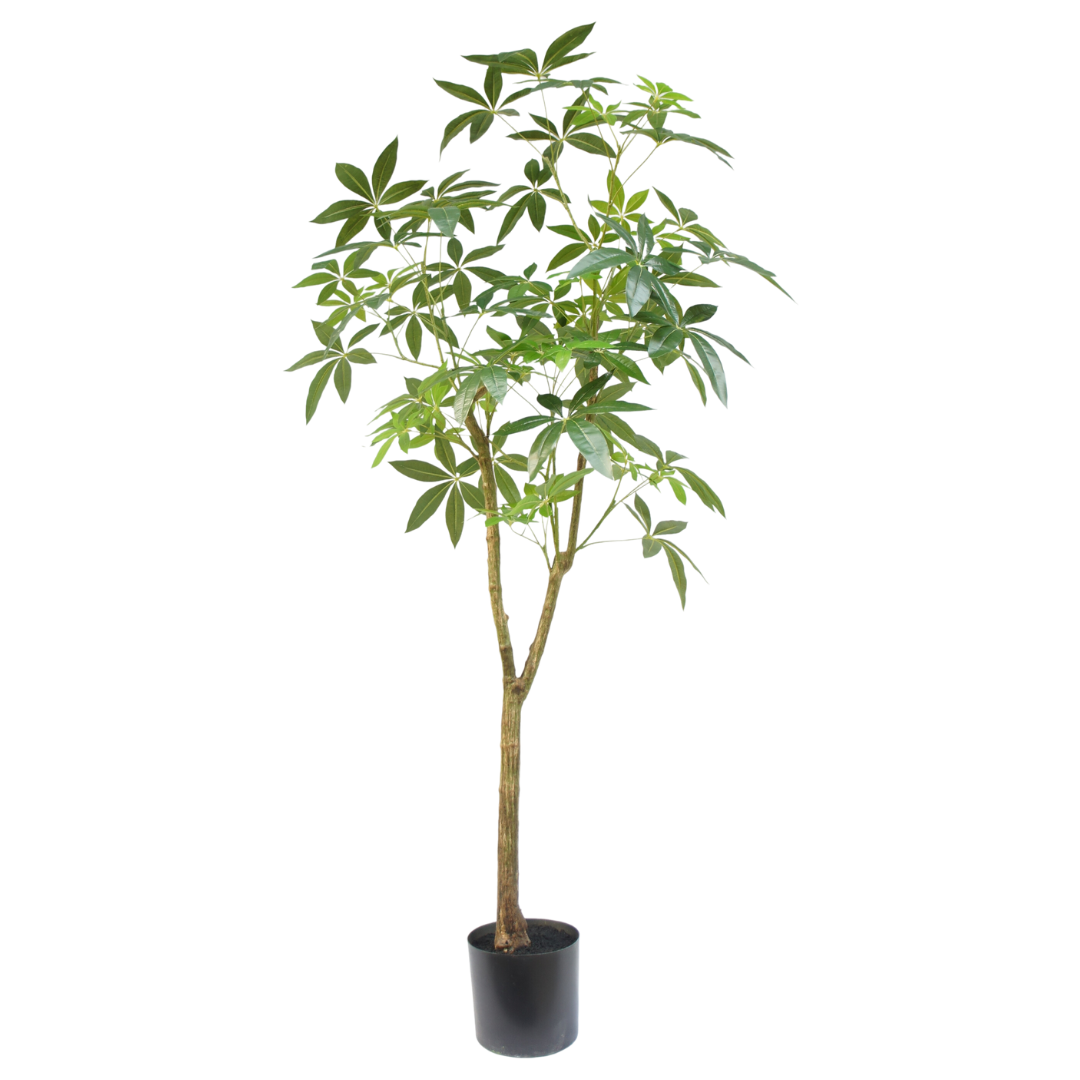 Schefflera boom - 180cm - kunstplant - zijdenplant