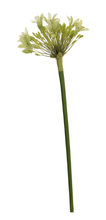 AGAPANTHUS 92CM GREEN - Luxe zijden bloemen boeket - Kunstbloemen van Sharon Flowers