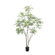 Bamboe boom 240cm