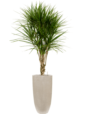Baq pot raindrop partner - Luxe zijden bloemen boeket - Kunstbloemen van Sharon Flowers