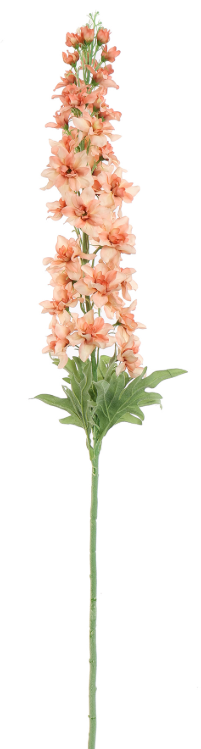 DELPHINIUM 110CM LICHT ZALM