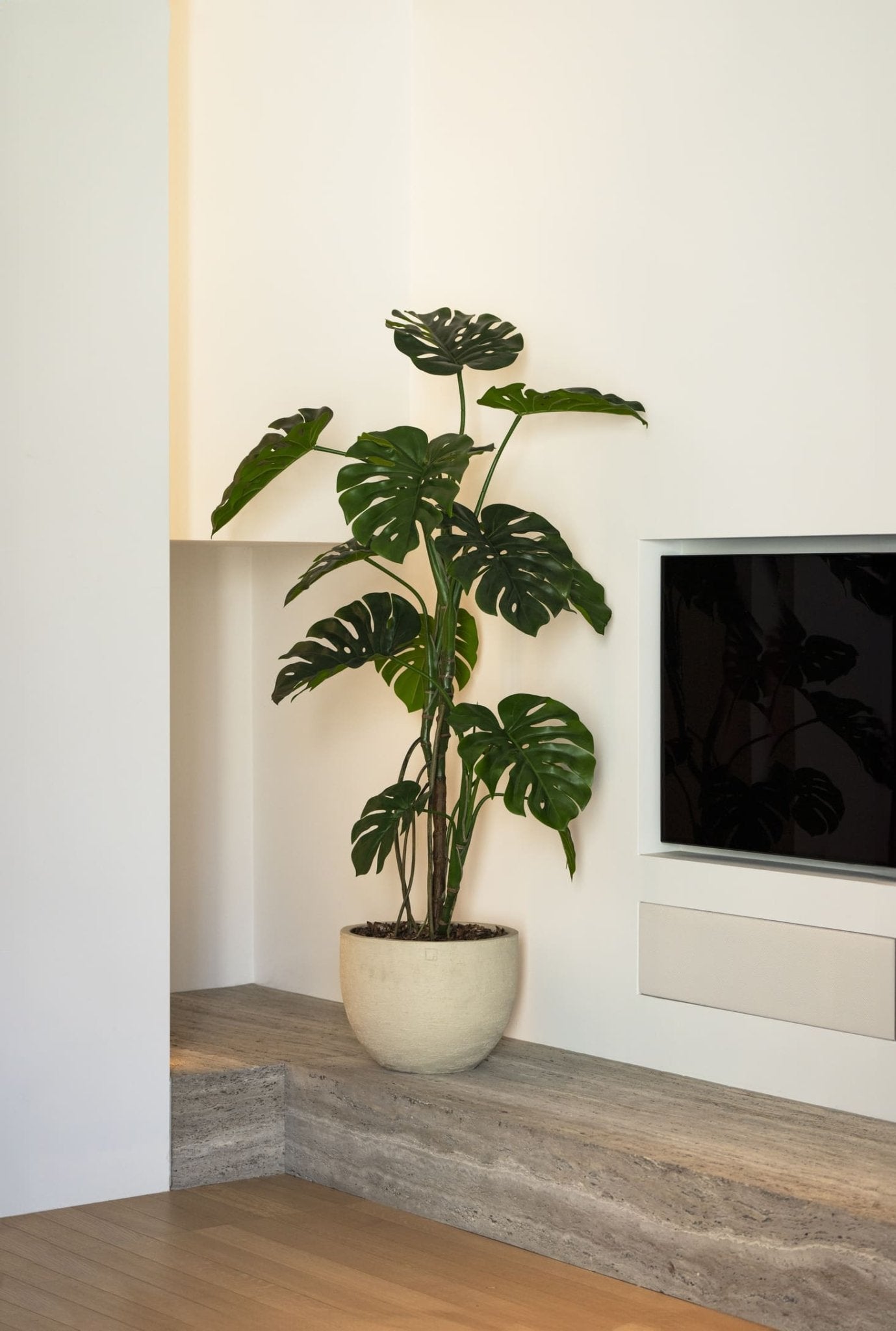 Monstera boom 150cm - Luxe zijden bloemen boeket - Kunstbloemen van Sharon Flowers
