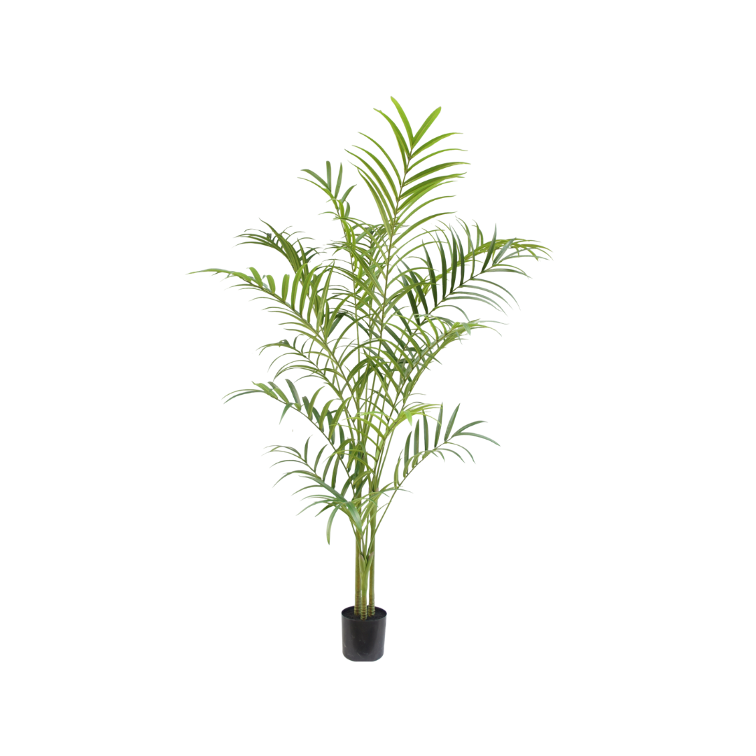 Palm boom - 240cm - kunstplant - zijdenplant