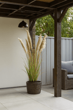 Pampas Grass 13 Heads In Pot Pvc Green/Orange Large - Luxe zijden bloemen boeket - Kunstbloemen van Sharon Flowers