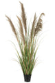 Pampas Grass 5 Heads In Pot Pvc Green/Beige Small - Luxe zijden bloemen boeket - Kunstbloemen van Sharon Flowers