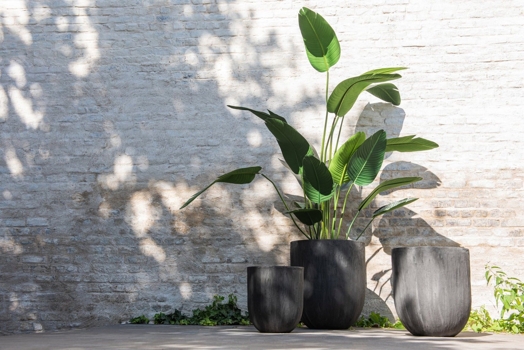 Strelitzia Green Small - Luxe zijden bloemen boeket - Kunstbloemen van Sharon Flowers