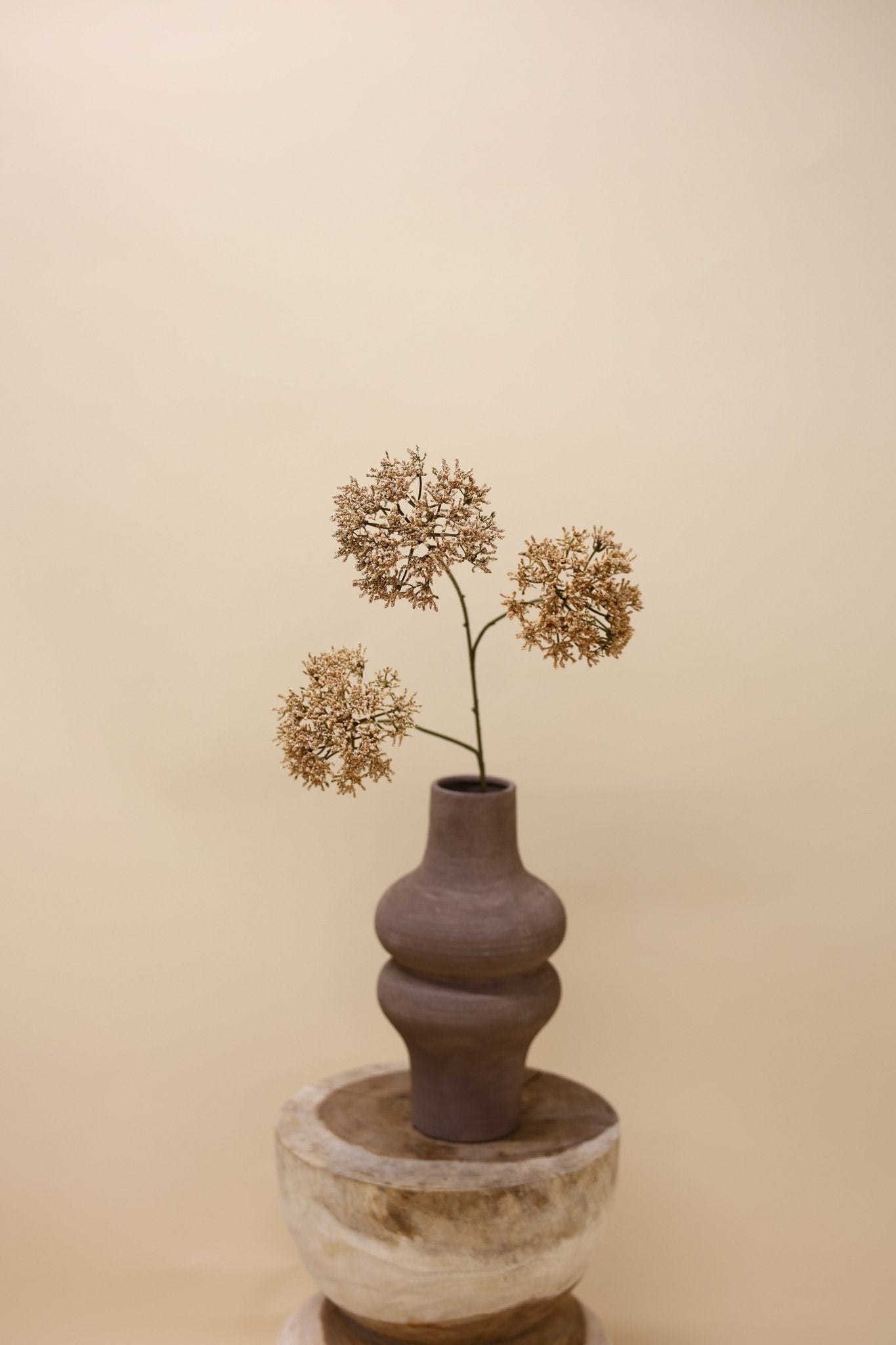 Trachelium tak bruin licht 85 cm - Luxe zijden bloemen boeket - Kunstbloemen van Sharon Flowers