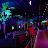 Eve Zaandam - Neon zijden planten