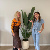 Debbie Dihllon x Sharon Flowers - Sharon Flowers