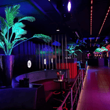 Eve Zaandam - Neon zijden planten - Sharon Flowers