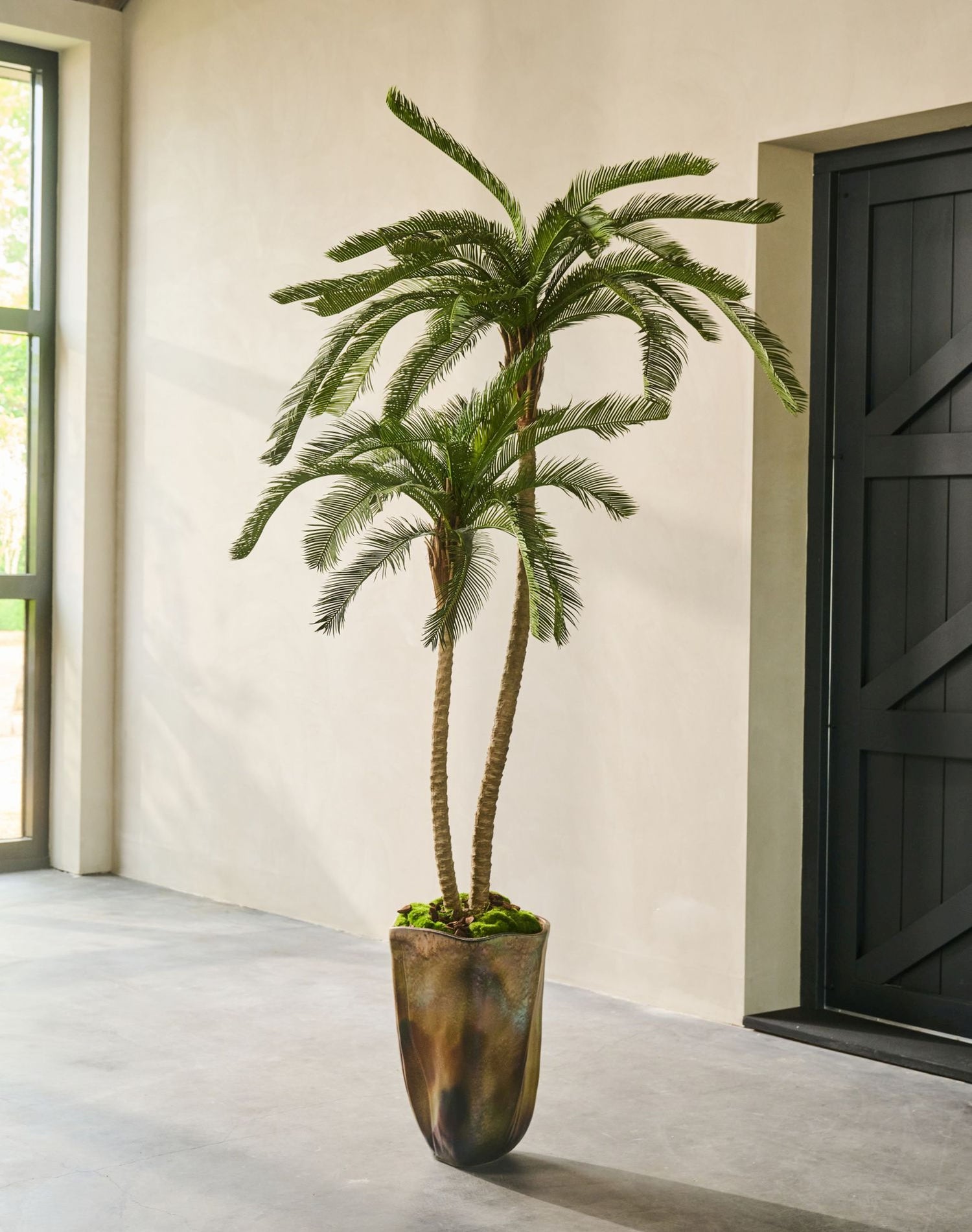 CYCAS PALM GROEN  180 cm