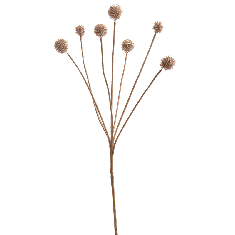 CRASPEDIA GLOBOSA X7 65cm BEIGE - Zijden bloem - Kunst bloem -duurzaam