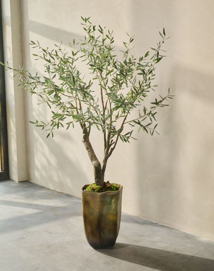 OLIJF BOOM GROEN  198 cm