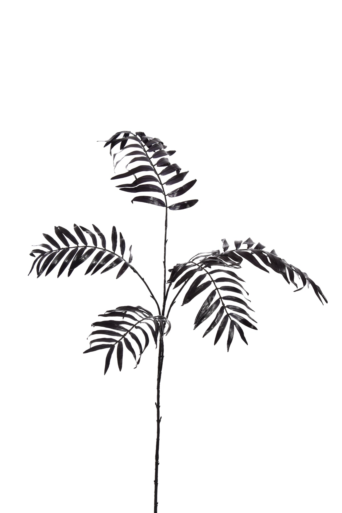 CHAMEADORA BRANCH 85CM zwart - Zijden bloem - Kunst bloem -duurzaam