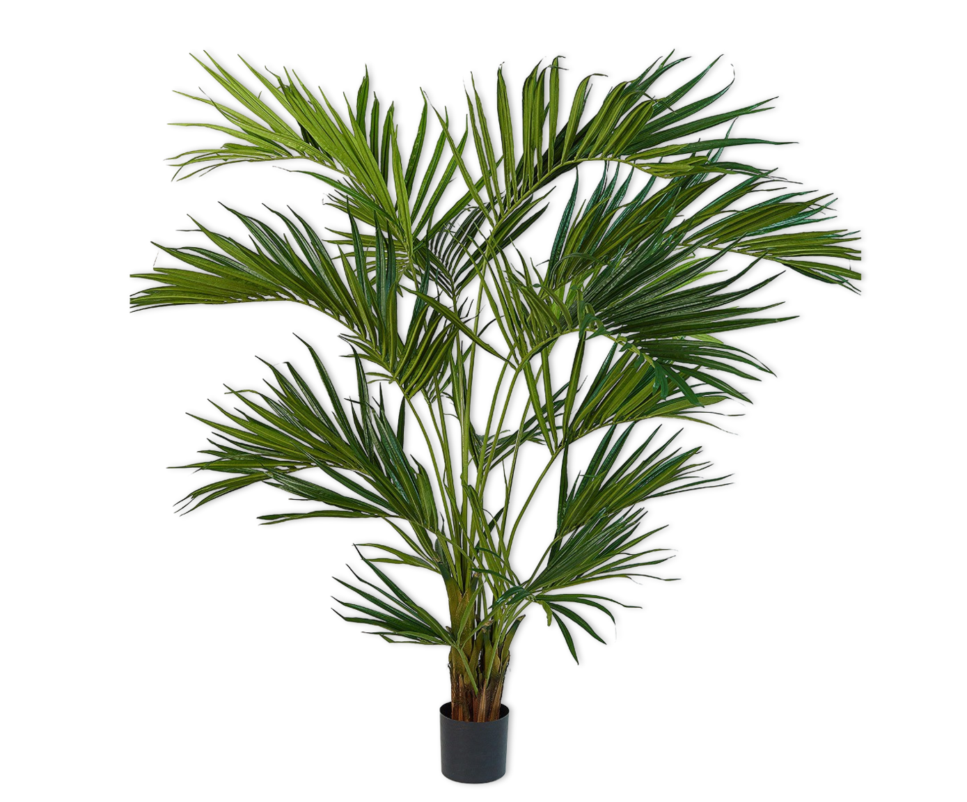 PALM  GROEN 220 cm