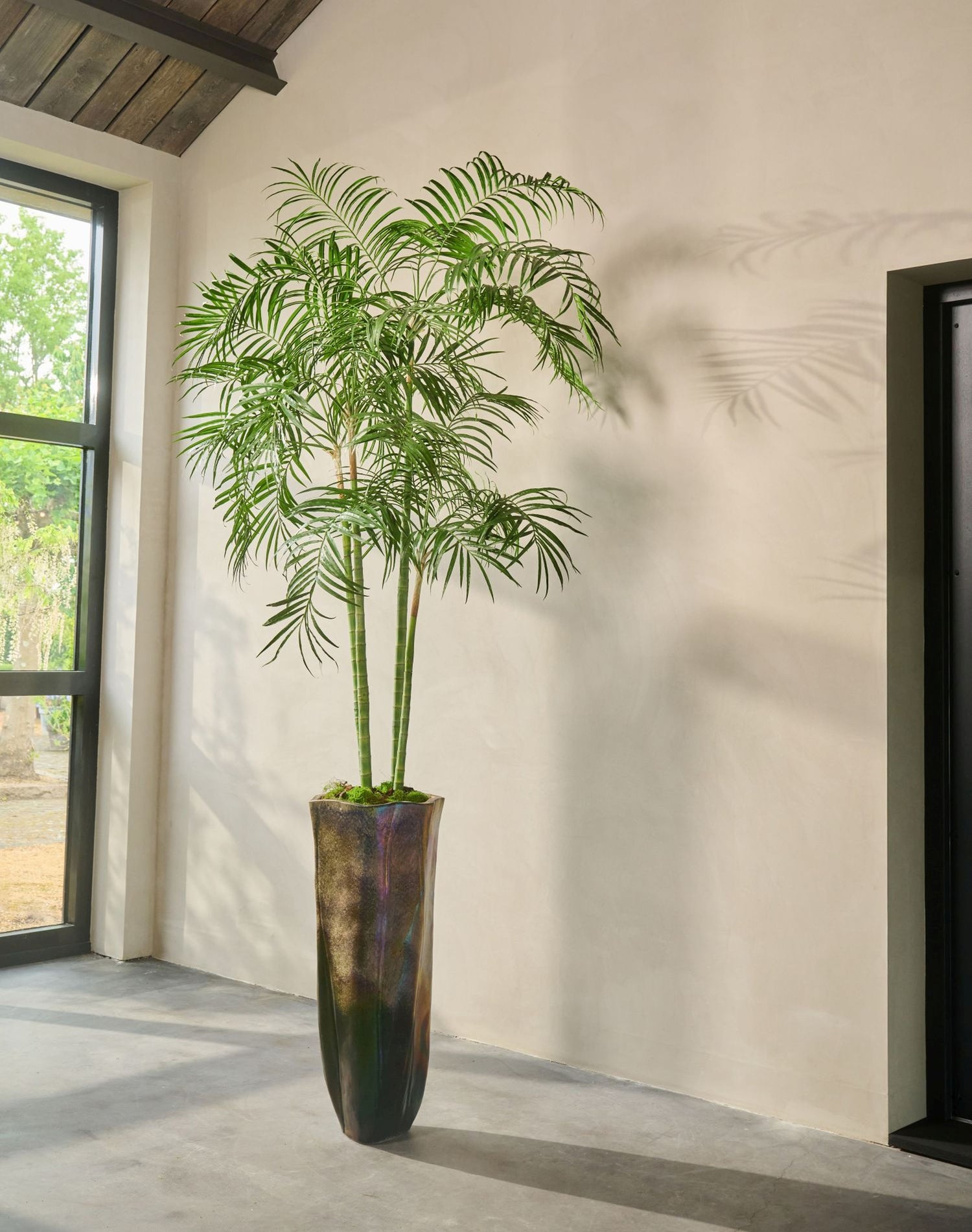 PALM  GROEN 274 cm