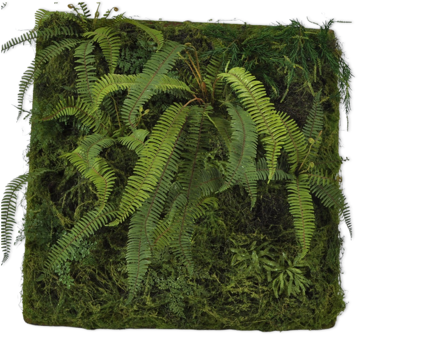 MOS PLAG GROEN 100 cm