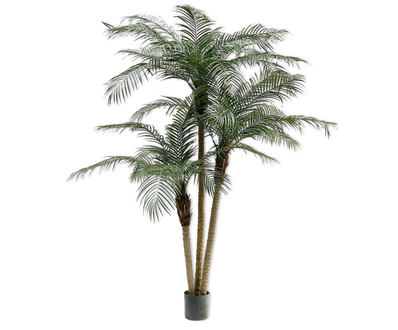 PALM PHOENIX GROEN 183 cm