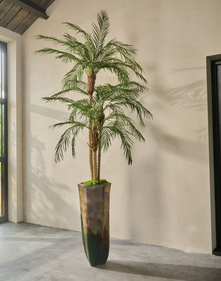 PALM PHOENIX GROEN 183 cm