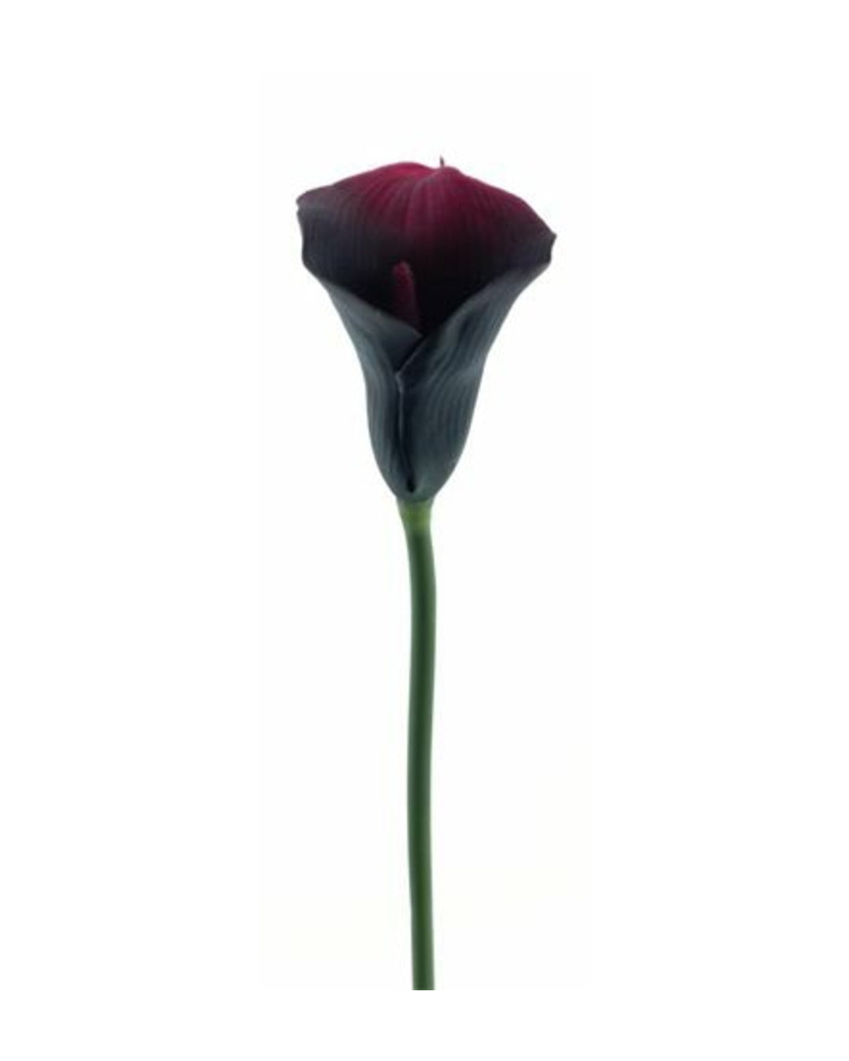 Losse zijden bloem Calla aubergine 59 cm