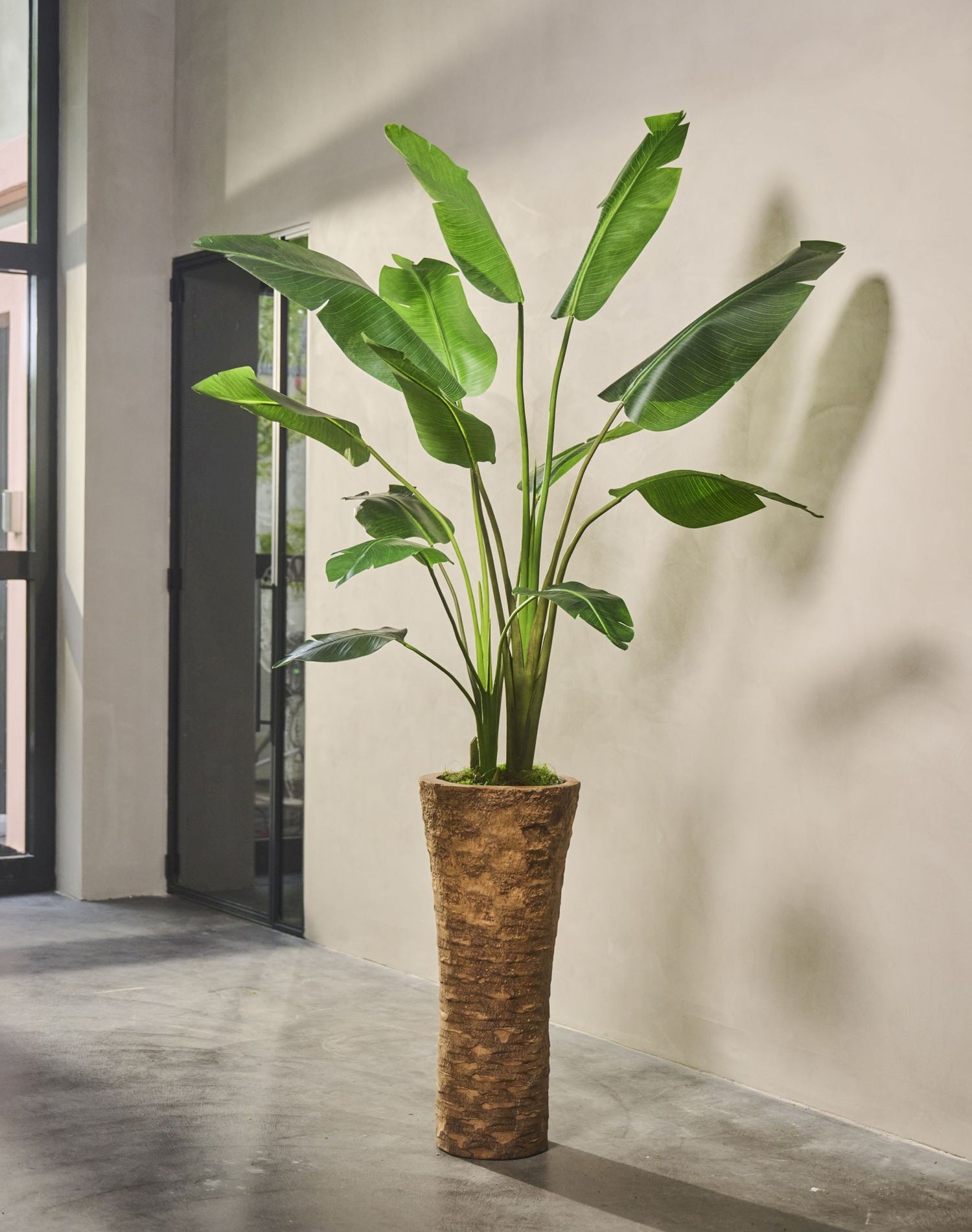 STRELITZIA  GROEN 182 cm