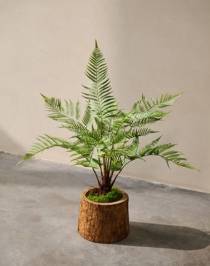 VAREN  GROEN 86 cm