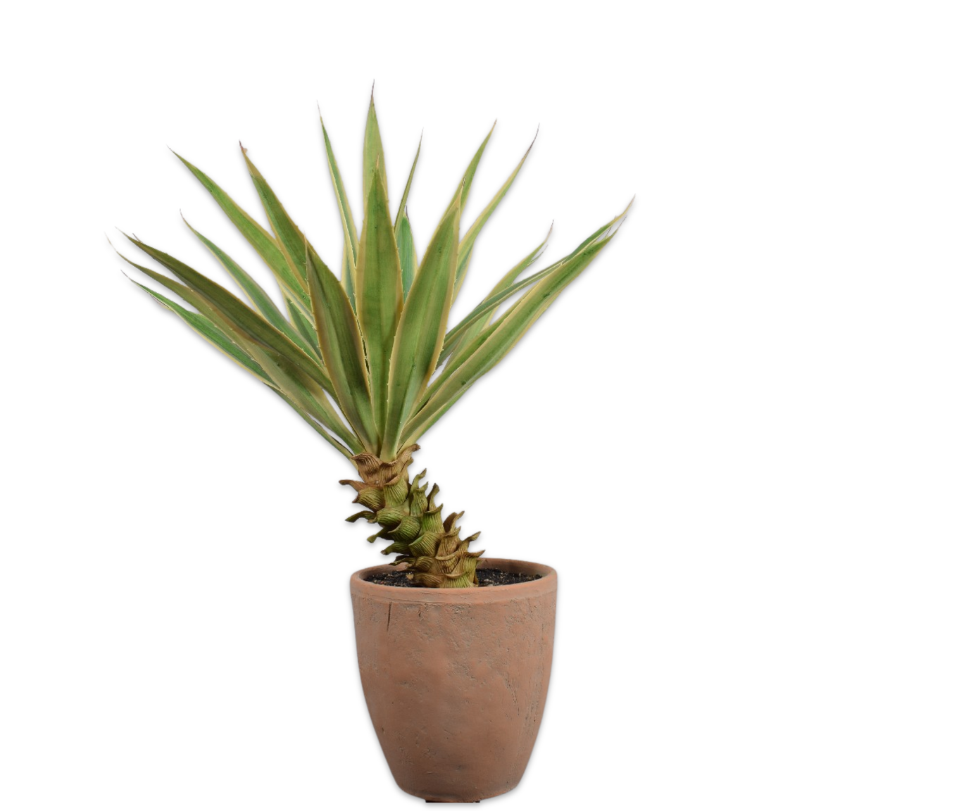 YUCCA  GRN LT  76 cm