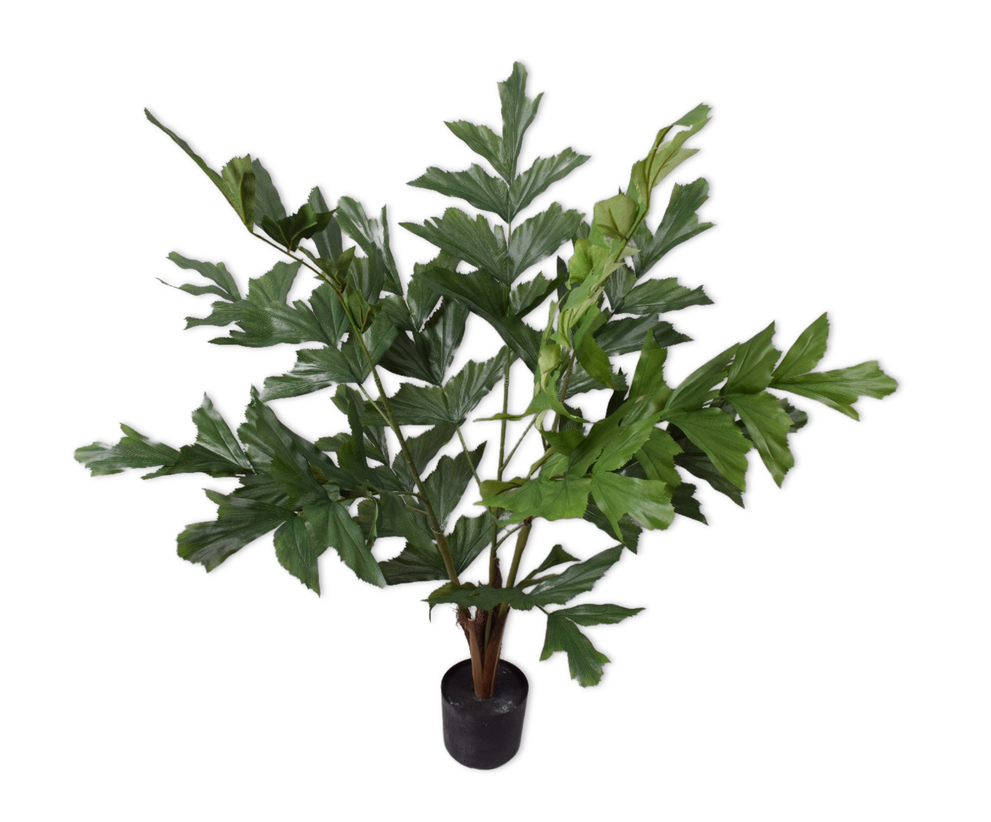 PALM  GROEN 91 cm