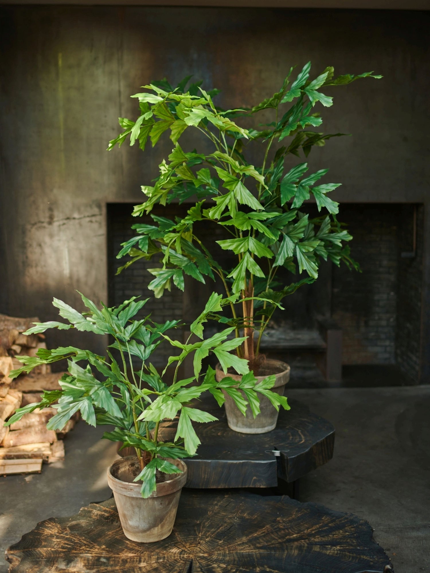 PALM  GROEN 91 cm