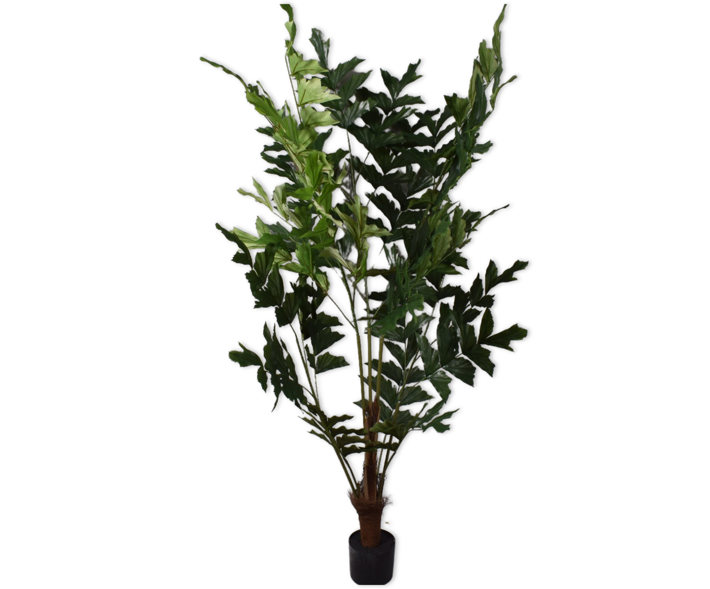 PALM  GROEN 152 cm