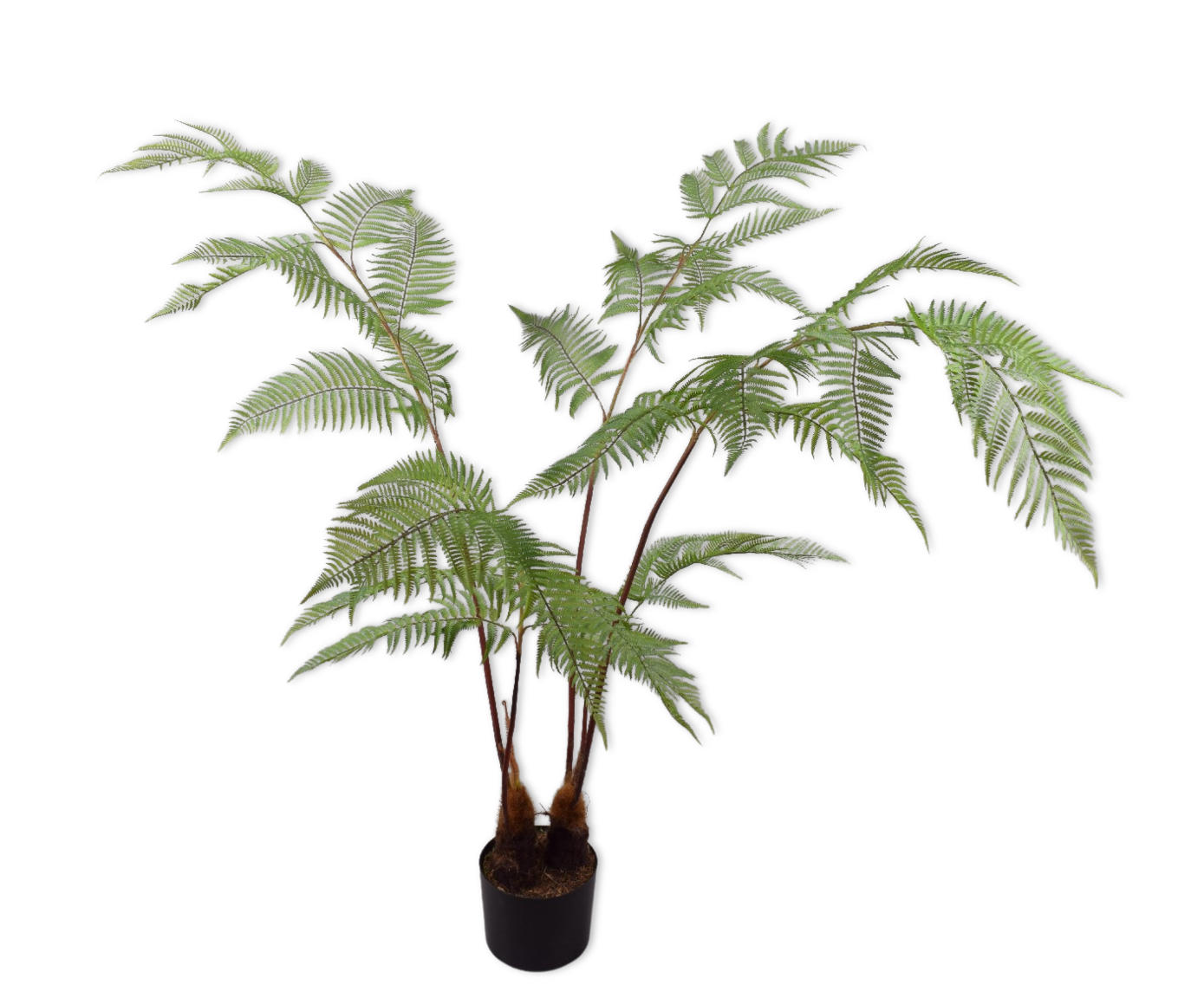 VAREN  GROEN  157 cm