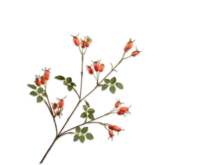 ROZENBOTTEL TAK ORANJE 67 cm- Zijden bloem - Kunst bloem -duurzaam