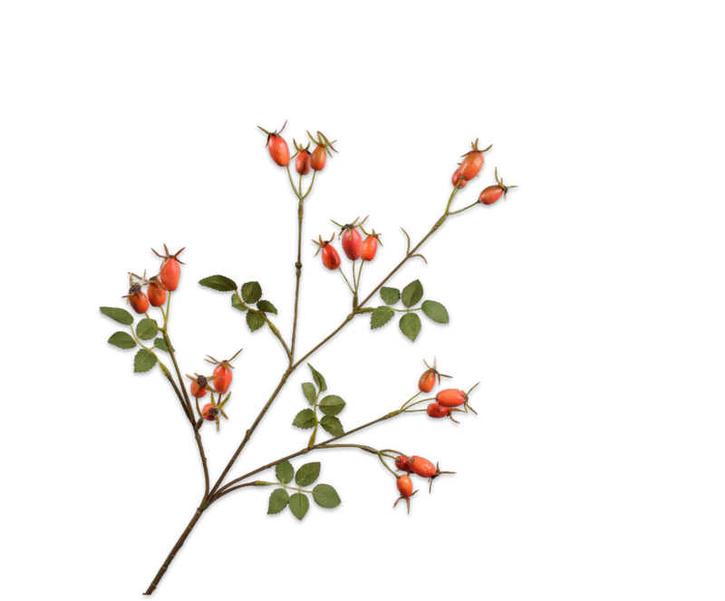 ROZENBOTTEL TAK ORANJE 67 cm- Zijden bloem - Kunst bloem -duurzaam