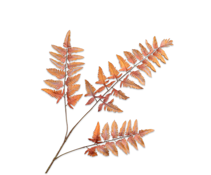 Veren tak Oranje 108 cm - Zijden bloem - Kunst bloem -duurzaam