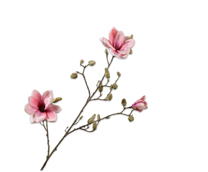 MAGNOLIA TAK roze 103 cm - Zijden bloem - Kunst bloem -duurzaam