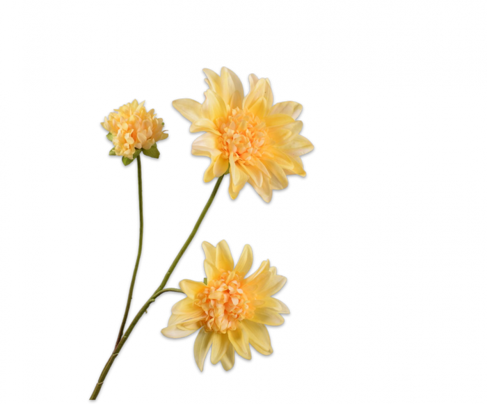 DAHLIA geel 65 cm- real touch - Zijden bloem - Kunst bloem -duurzaam