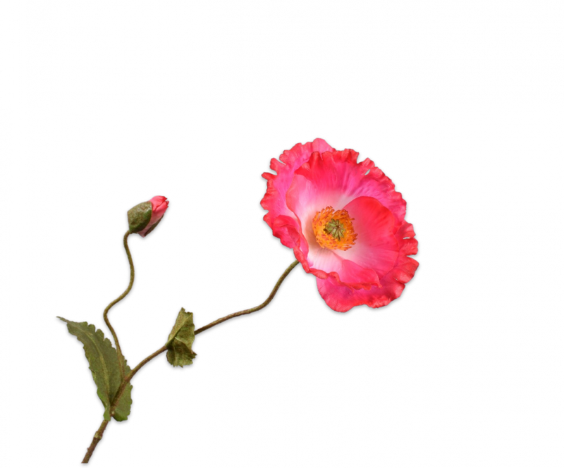 KLAPROOS BEAUTY 67 cm- realtouch - Zijden bloem - Kunst bloem -duurzaam