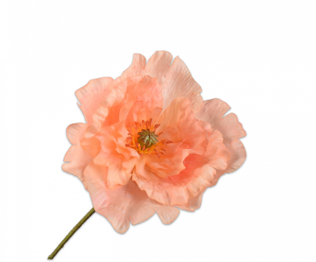KLAPROOS ROZE 74 cm -  realtouch - Zijden bloem - Kunst bloem -duurzaam