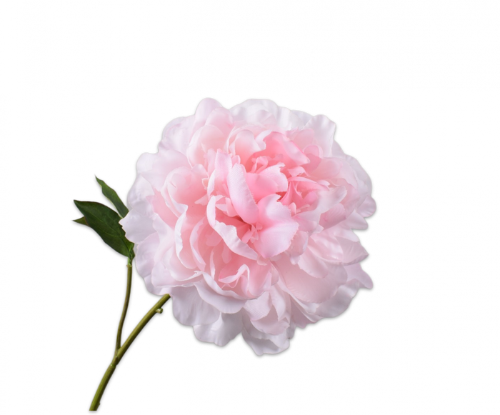 Pioen licht roze 57 cm - real touch - Zijden bloem - Kunst bloem -duurzaam
