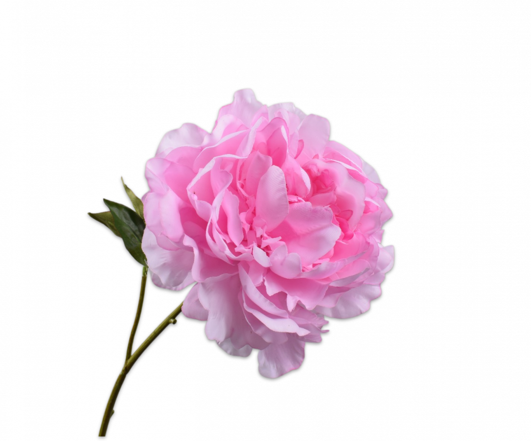 Pioen roze 57 cm - real touch - Zijden bloem - Kunst bloem -duurzaam