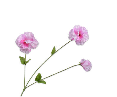 Losse zijdenbloem - Viool  Roz/Br Rt - 66 cm