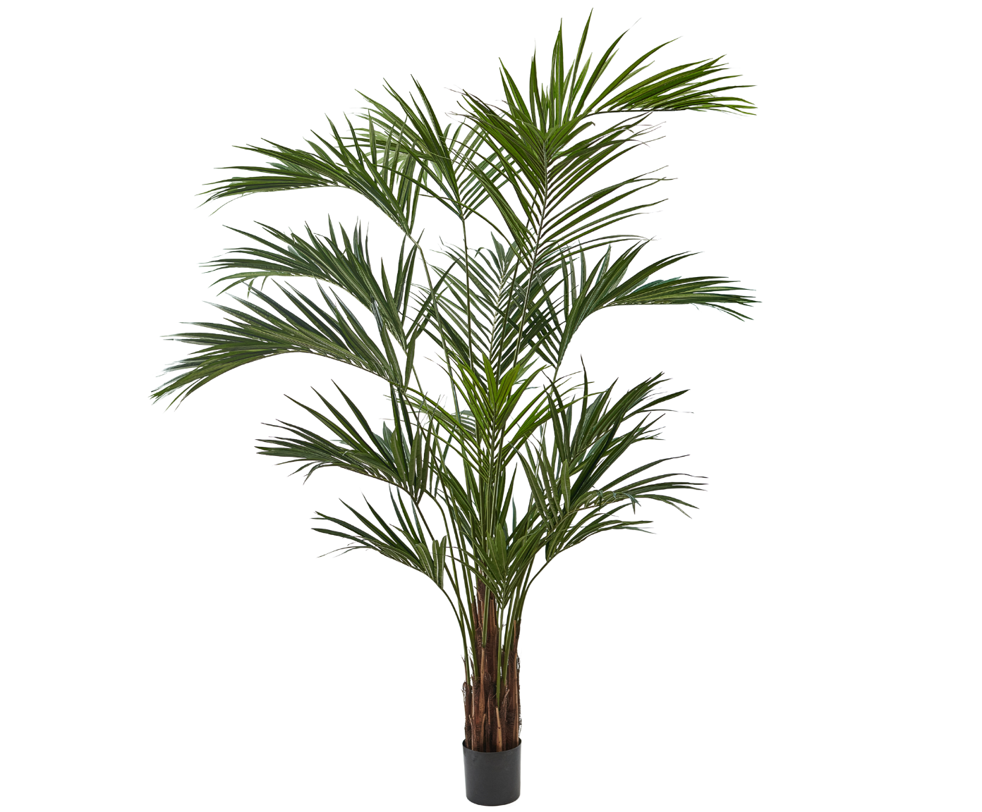 PALM  GROEN  250 cm