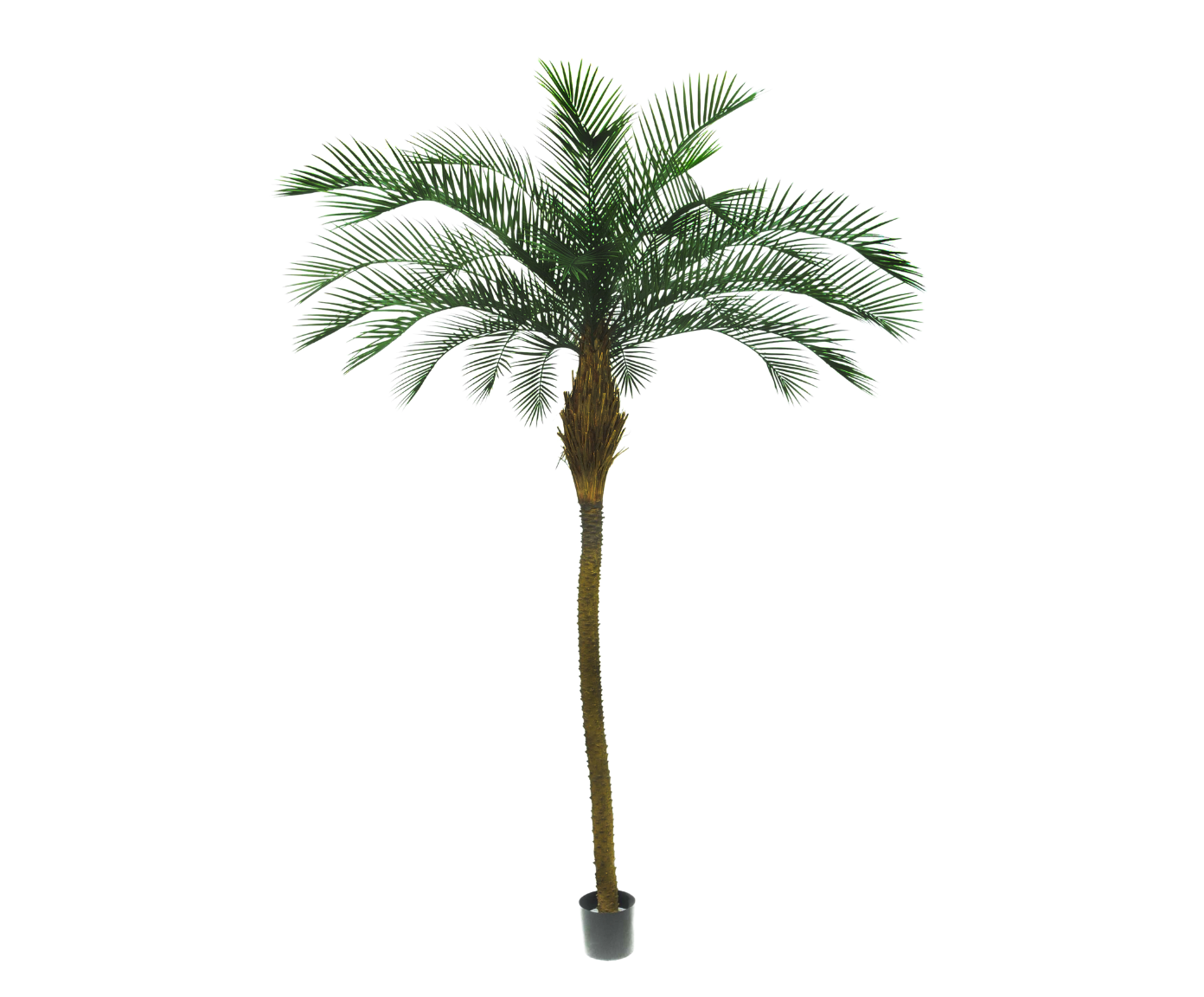 PALM  GROEN 213 cm